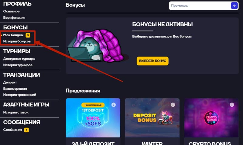 Бонусы в Cat Casino