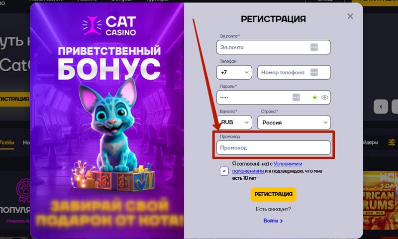 Регистрация в казино Кэт